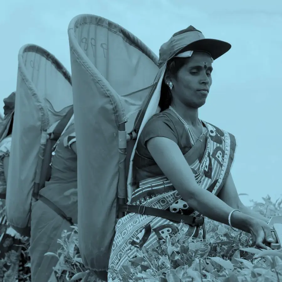 DCM Shriram Foundation Female labour force Landscape in India