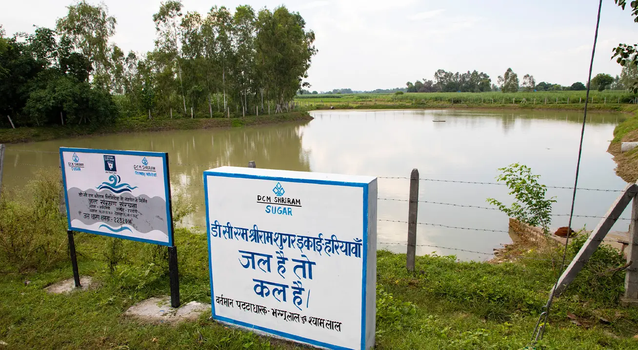 DCM Shriram Foundation Pond rejuvenated in Uttar Pradesh